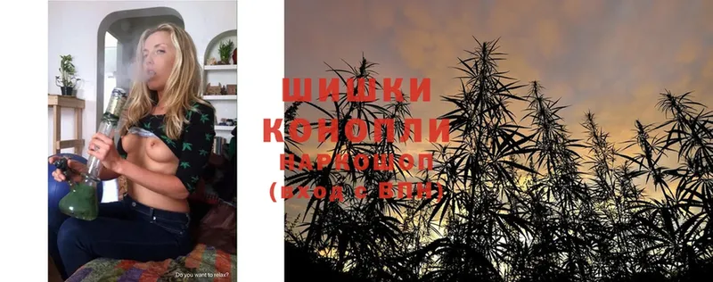 Конопля OG Kush  Серов 